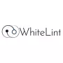 Best Data Security Company For Government in India-USA | WhiteLint